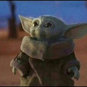 Meet your Posher, Lauryn